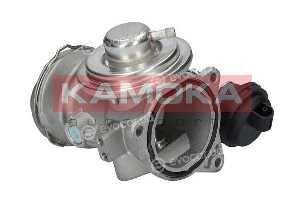 Kamoka 19033