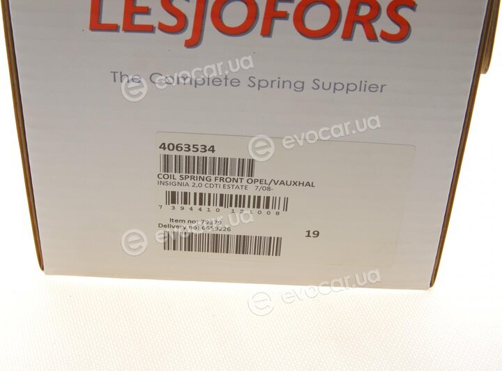 Lesjofors 4063534