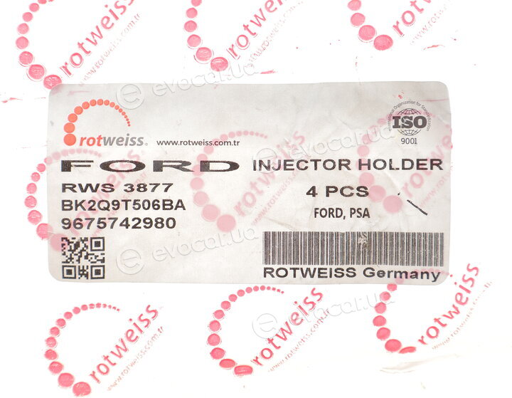 Rotweiss RWS3877