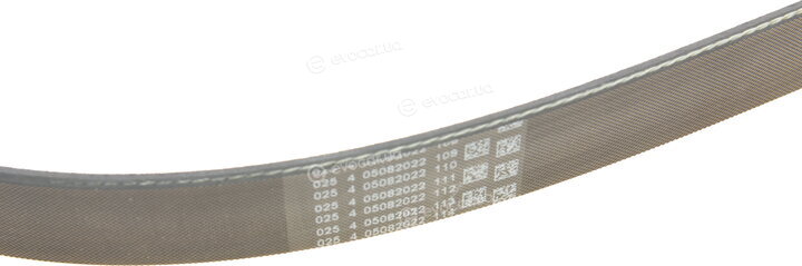 Continental 7PK1377