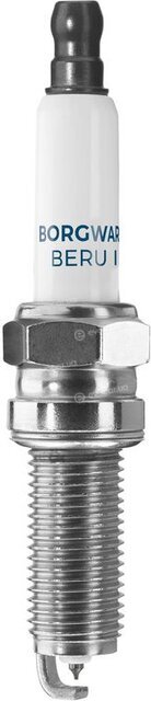 BorgWarner Z359