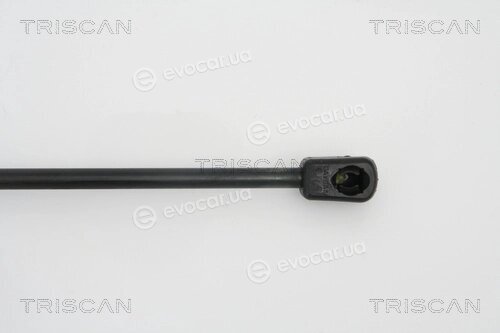 Triscan 8710 67209