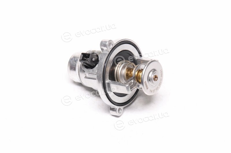 Mahle TM 27 101