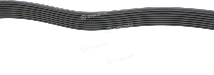 Dayco 8PK1240HD