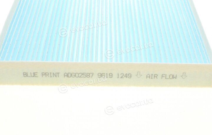 Blue Print ADG02587