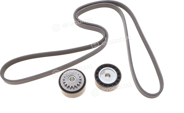 Continental 4PK1538K1