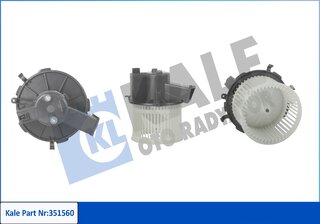 Kale 351560