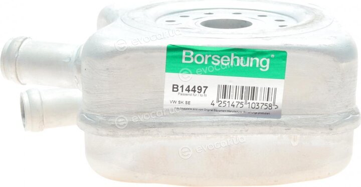 Borsehung B14497