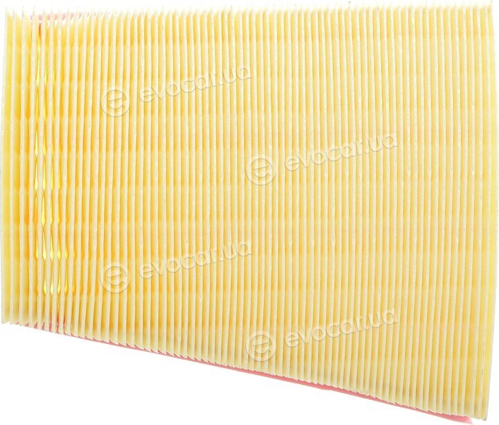 Solgy 103141