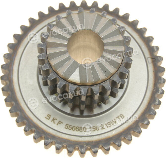 SKF VKML 81307