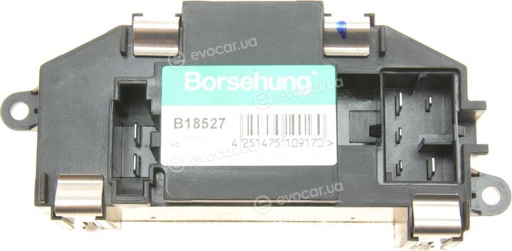 Borsehung B18527