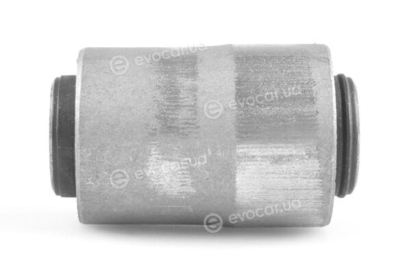 Tedgum TED41043