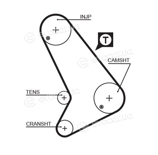 Gates K015571XS