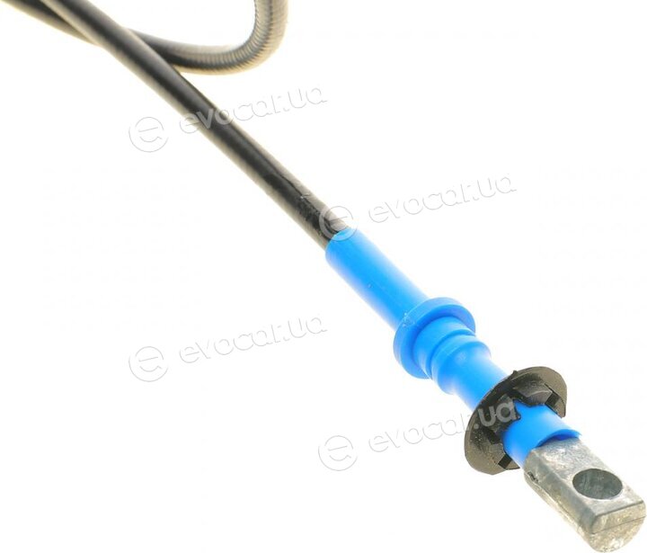 DP AC 3007 BNS