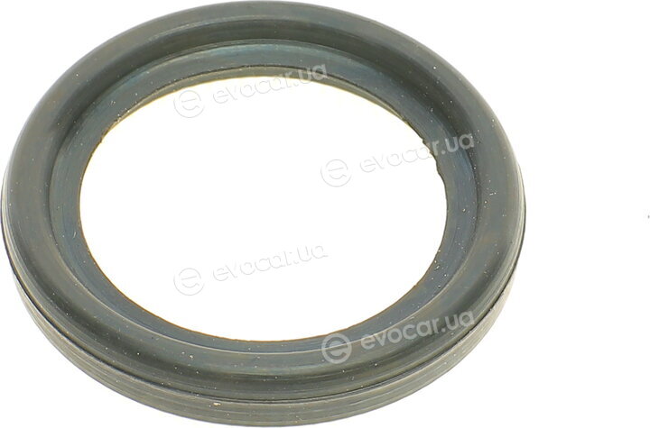 Elring 855.060