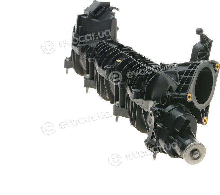 Solgy 114161
