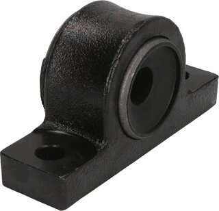 Delphi TD4043W