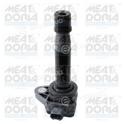 Meat & Doria 10593