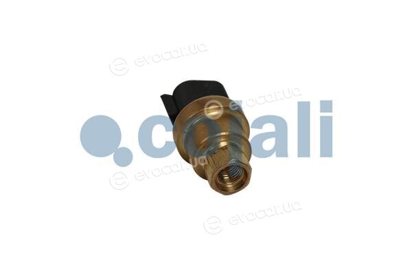 Cojali 2263025