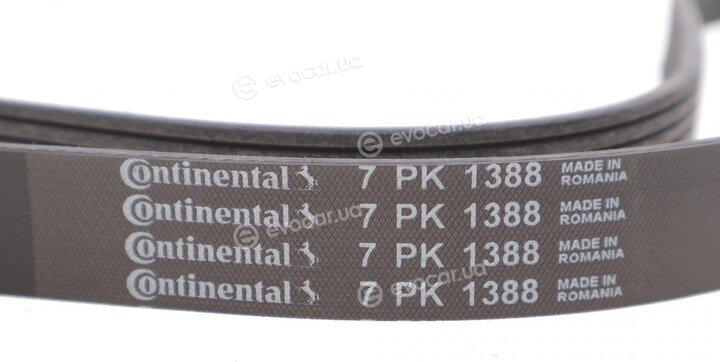 Continental 7PK1388