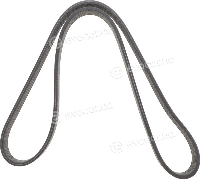 Dayco 6DPK1188