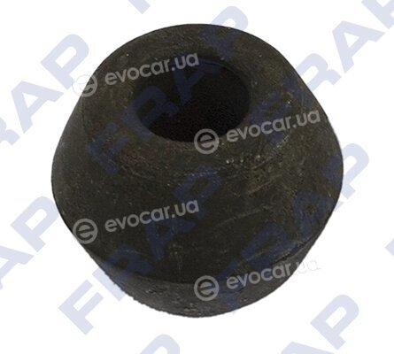 Frap FSB21561