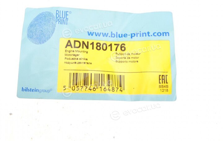 Blue Print ADN180176