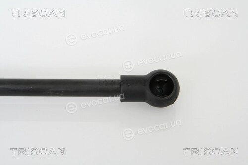 Triscan 8710 11110
