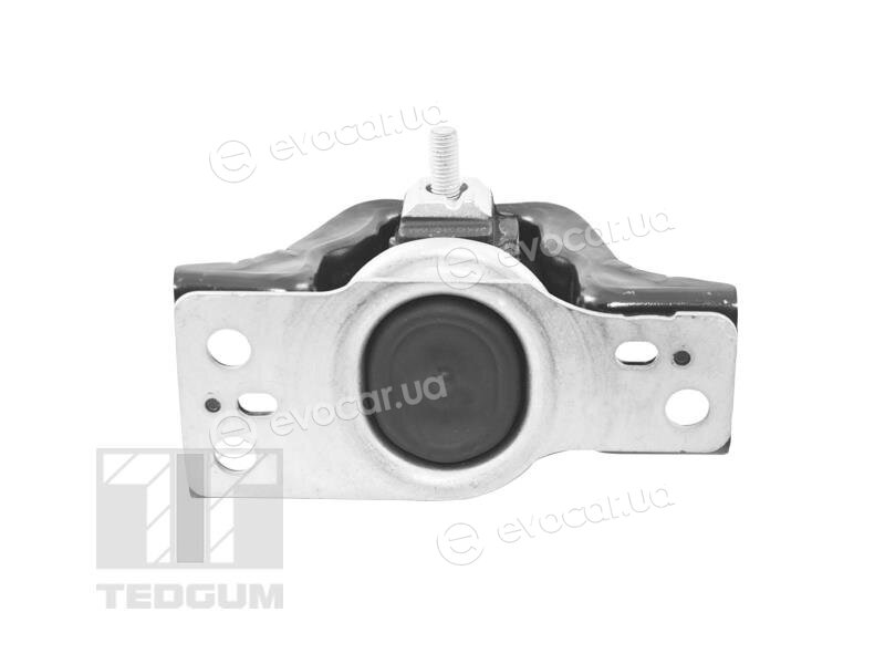 Tedgum TED84297