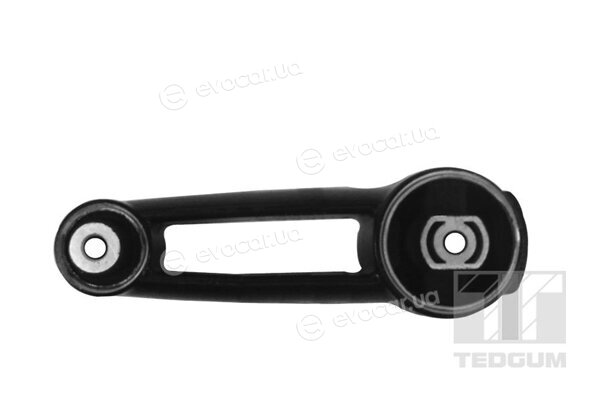 Tedgum 00728716