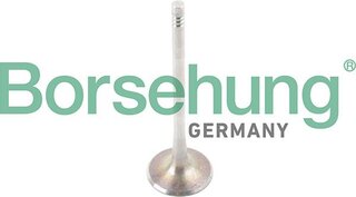 Borsehung B13244