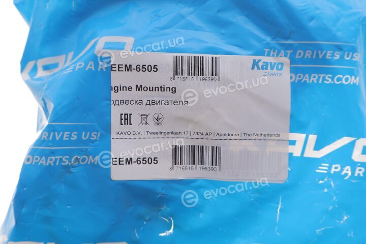 Kavo EEM-6505