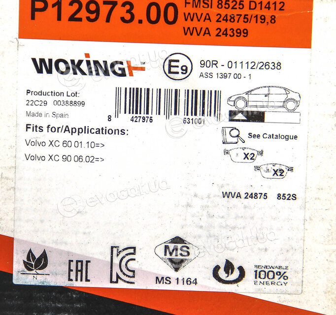 Woking P12973.00