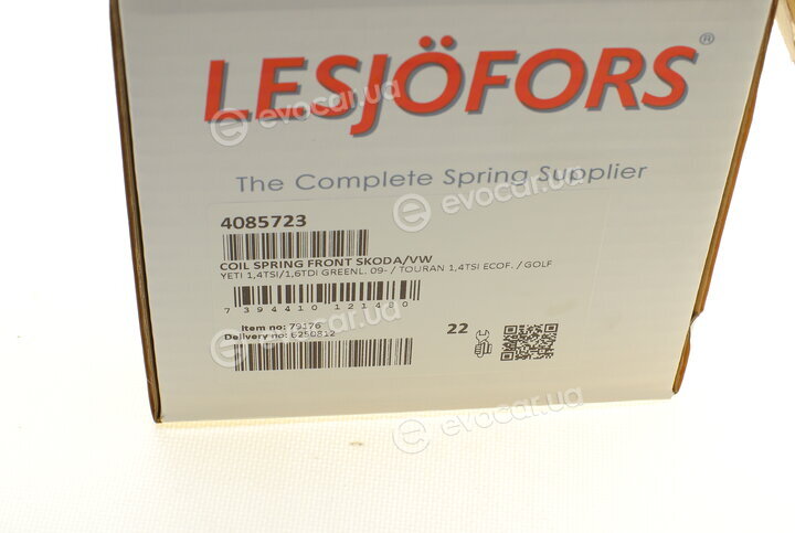 Lesjofors 4085723
