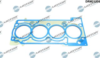 Dr. Motor DRM21236