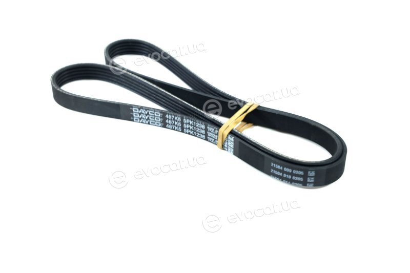Dayco 5PK1238