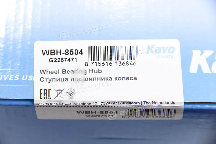 Kavo WBH-8504