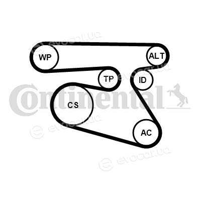 Continental 5PK1960K1