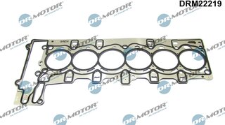Dr. Motor DRM22219