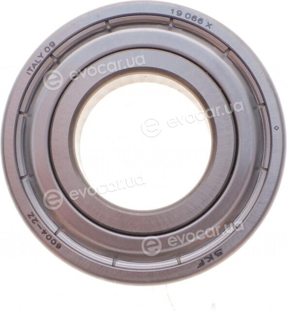 SKF 6004-2Z