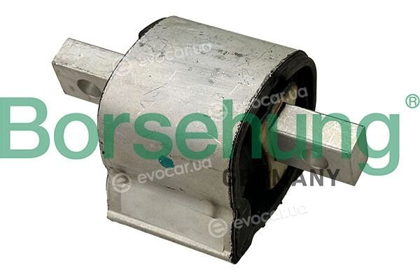 Borsehung B13424