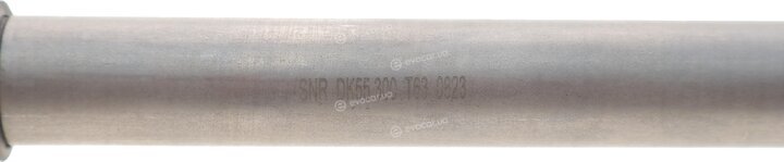 NTN / SNR DK55.300