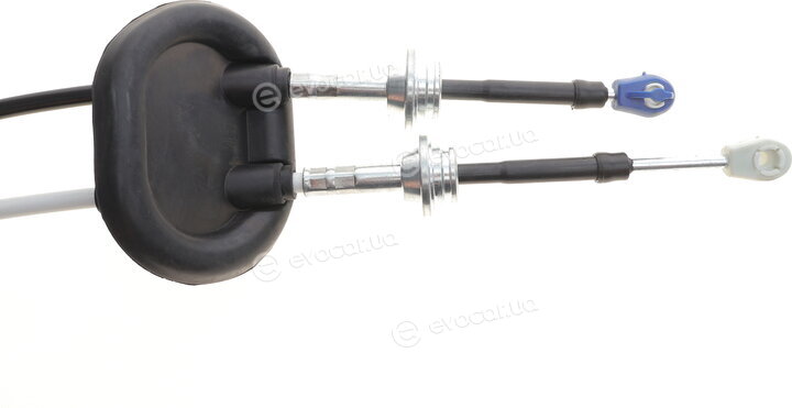 AIC 58955