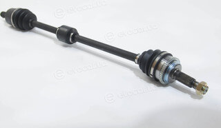 BGA DS3604R