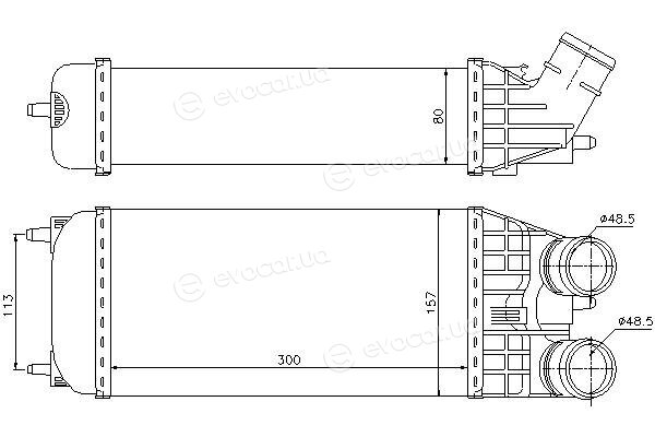 Starline A PEA 4361