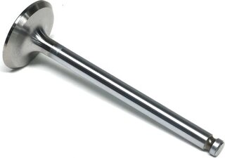 Gunes 5876