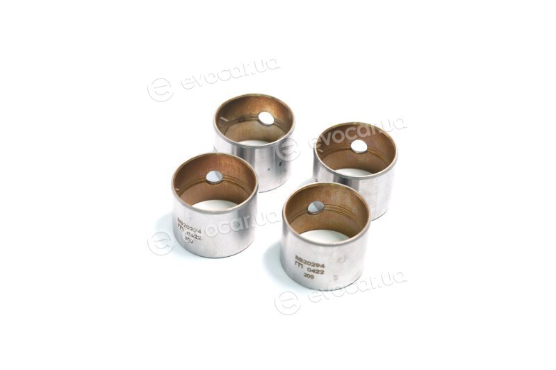 Mahle 021 BS 20295 300