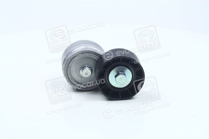 Dayco APV1077