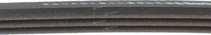 Dayco 3PK960