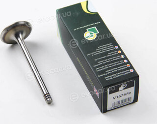 BGA V157579